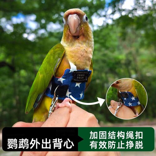 鹦鹉衣服超轻遛鸟神器外出背带玄风虎皮牡丹放飞绳牵引防丢飞行服