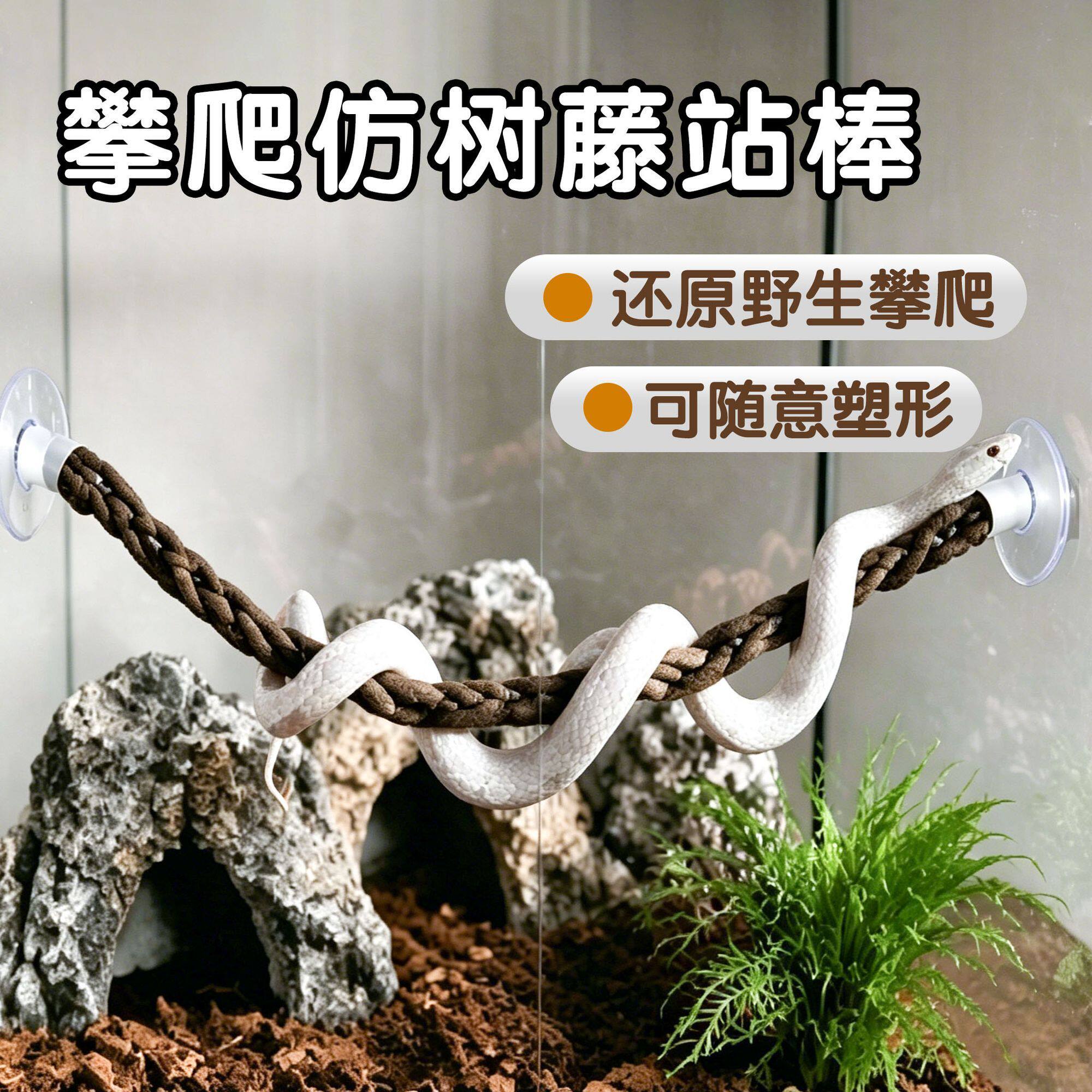 玉米蛇树藤攀爬架吸盘设