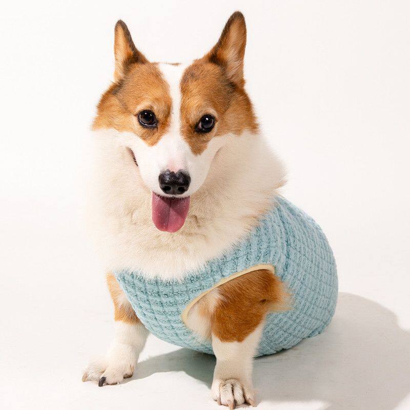 柯基衣服冬季加绒保暖狗