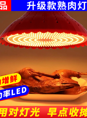 店铺专用灯 新款鼎鸿led照明灯e27螺口通用220伏电压高亮商铺白光