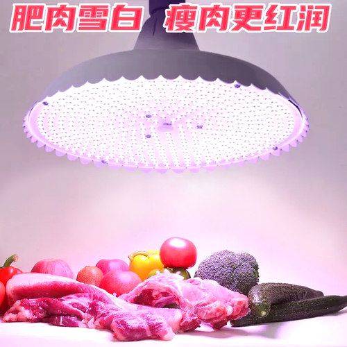鼎鸿市场灯LED灯220v螺口