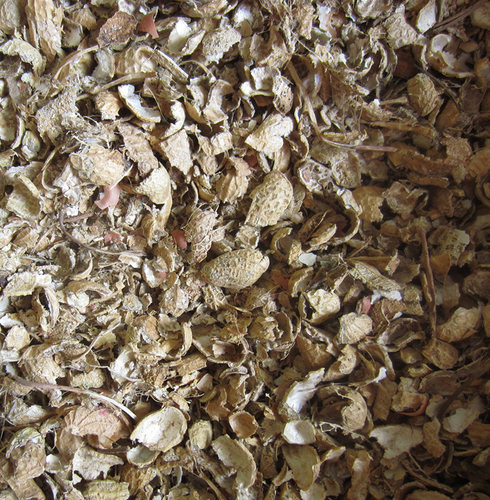 花生壳  榨油机器剥的花生壳  可以做饲料  发酵后疏松土壤 包邮