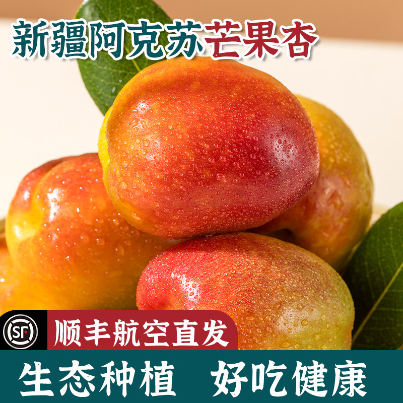 新疆阿克苏芒果杏吊干杏子新鲜水果哈密特产甜蜜油杏小红杏小白杏