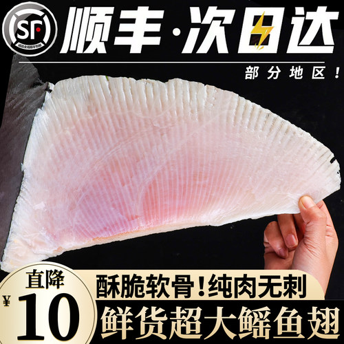 【不鲜包退】现切去皮特大鳐鱼翅