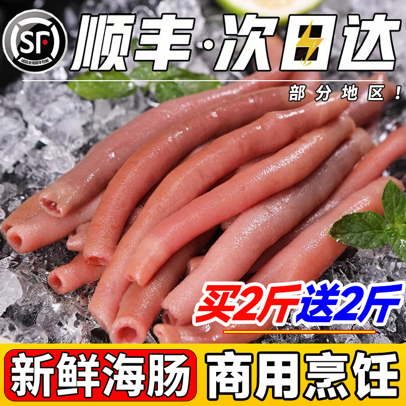 新鲜海肠鲜活红海肠子急冻海肠皮烟台沙虫海鲜水产红肠三去免处理