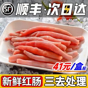 新鲜海肠鲜活红海肠子急冻海肠皮烟台沙虫海鲜水产三去红肠免处理