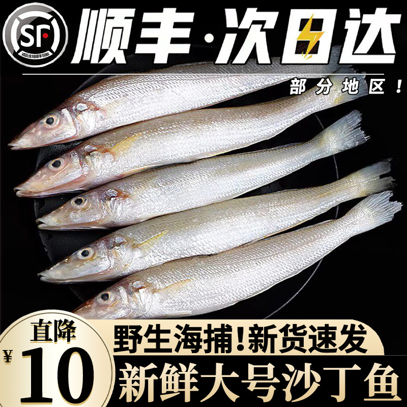 补贴【买5斤送5斤】新鲜沙丁鱼