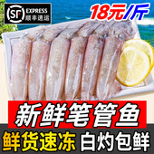 小管鱿鱼白灼鱿鱼新鲜冷冻大鱿鱼大笔管鱼小乌贼海鲜水产鲜活生鲜