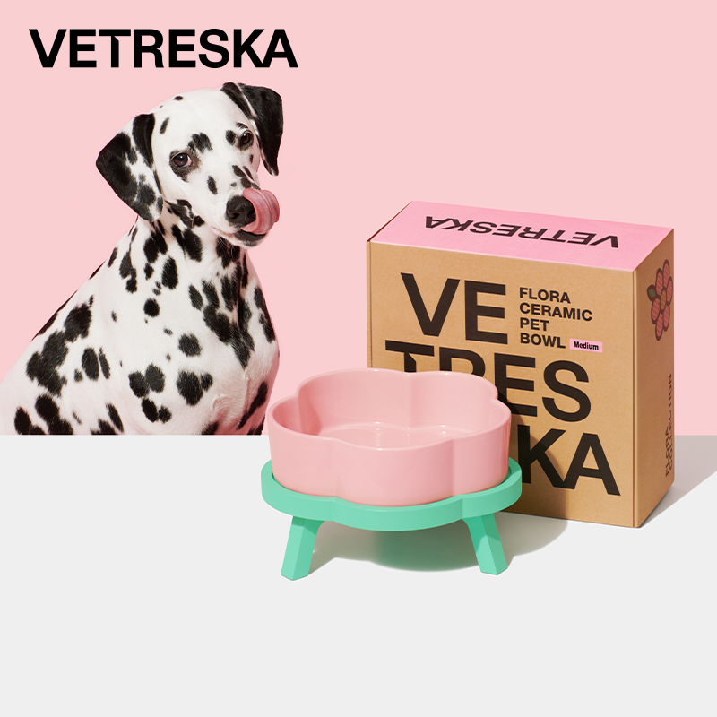 未卡花花寵物陶瓷碗防打翻