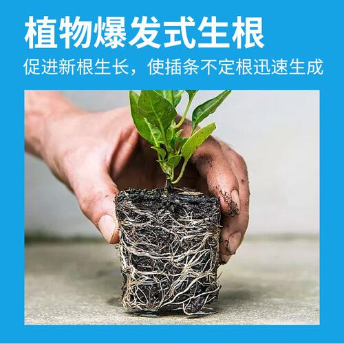 龙骨营养液花肥种植增长液室内果树专用种花盆栽生根液肥料水溶肥
