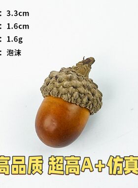 仿真假水果干果模型塑料花生大红枣桂圆莲子桃核模型早教摄影B36