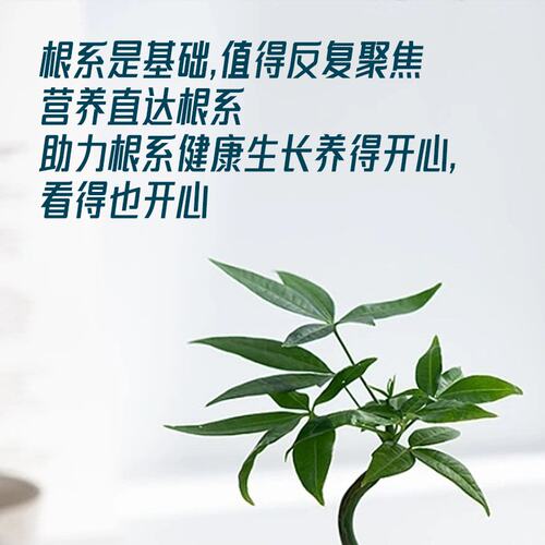 超浓缩植物营养液花肥通用型绿植花卉盆栽绿萝水培多肉发财树肥料