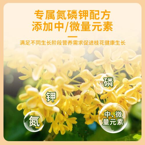 桂花营养液专用肥免稀释植物水培通用型室内盆栽花卉养花肥治黄叶