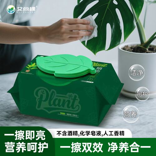 植物营养巾绿植园艺天南星科绿植兰花营养液清洁湿巾叶面除尘剂