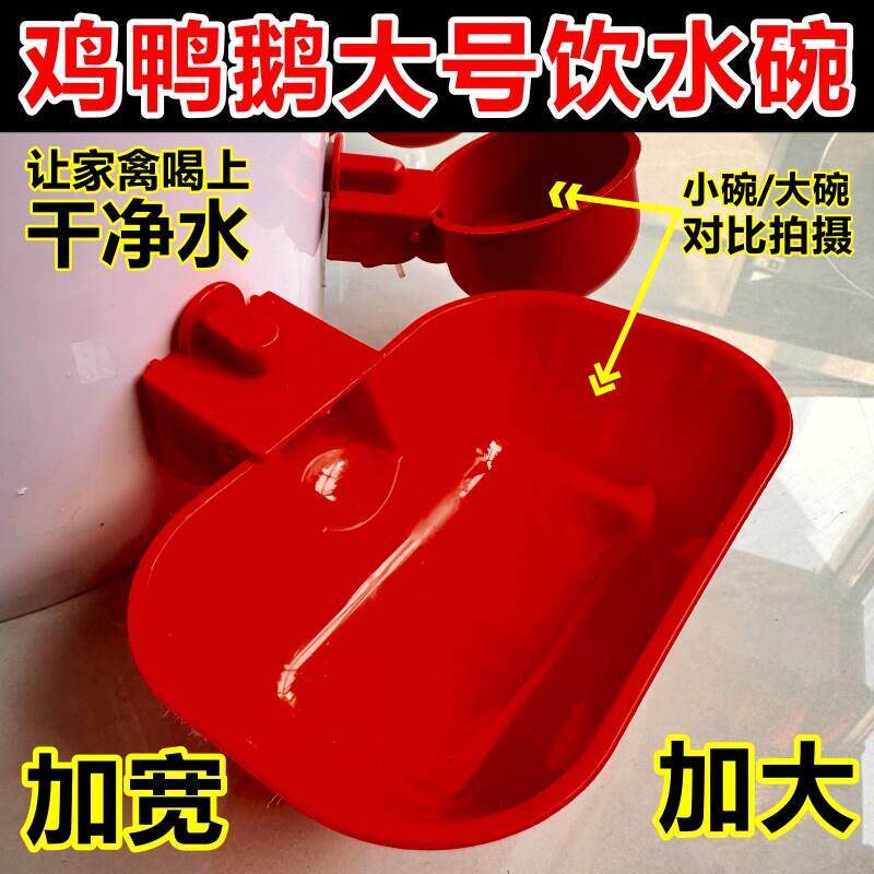 鸽子自动饮水器大号鸡鸭鹅饮水碗喂水器加大家禽宠物猫狗兔养殖加