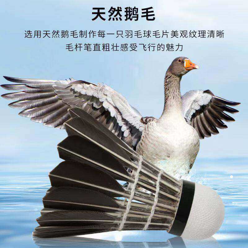 超耐打羽毛球12祇装耐打王不易打烂鹅毛室外比赛套装训练用球