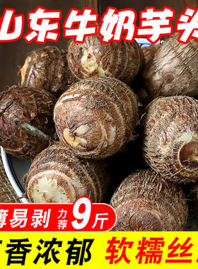 牛奶芋头新鲜小芋头山东小毛芋艿新鲜农家自种小毛芋现挖5斤包邮