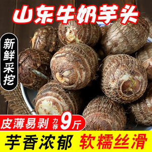 山东牛奶芋头新鲜5斤坏果包赔