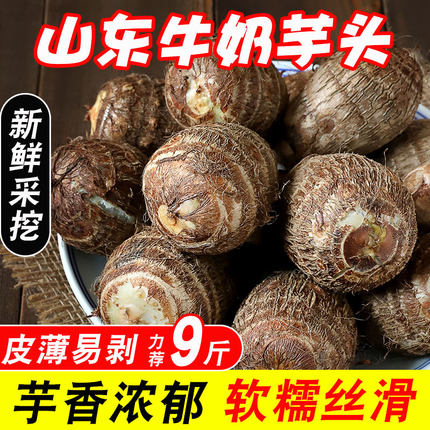 牛奶芋头新鲜小芋头山东小毛芋艿新鲜农家自种小毛芋现挖5斤包邮