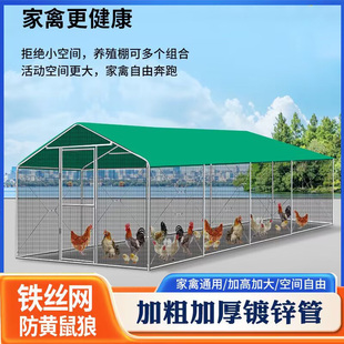 室外养鸡棚防雨棚搭建不锈钢鸡鸭棚鸡舍家用鸡鸭鹅鸡舍鸡鸭鹅笼