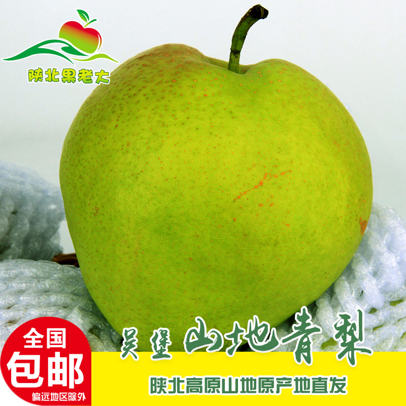 陕西特产国家地理标志农产品陕北榆林吴堡青梨简装顺丰包邮