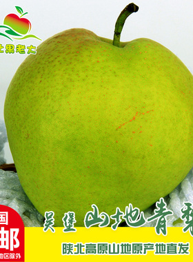 陕西特产国家地理标志农产品陕北榆林吴堡青梨简装顺丰包邮