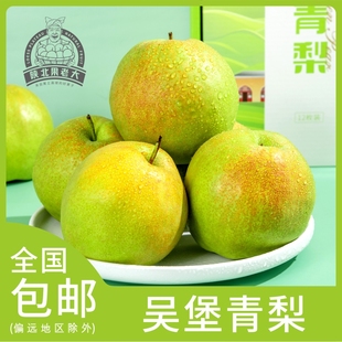 陕西特产吴堡青梨新精品礼盒装鲜梨高级水果陕北果老大地标产品