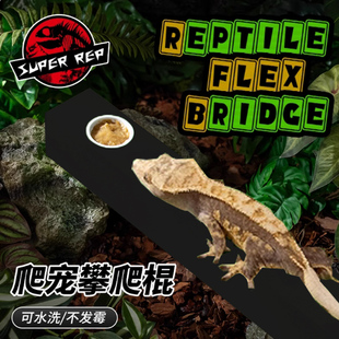 树栖爬宠睫角攀爬棒可切割R属守宫树蛙盖勾亚魔物高密度海绵长条