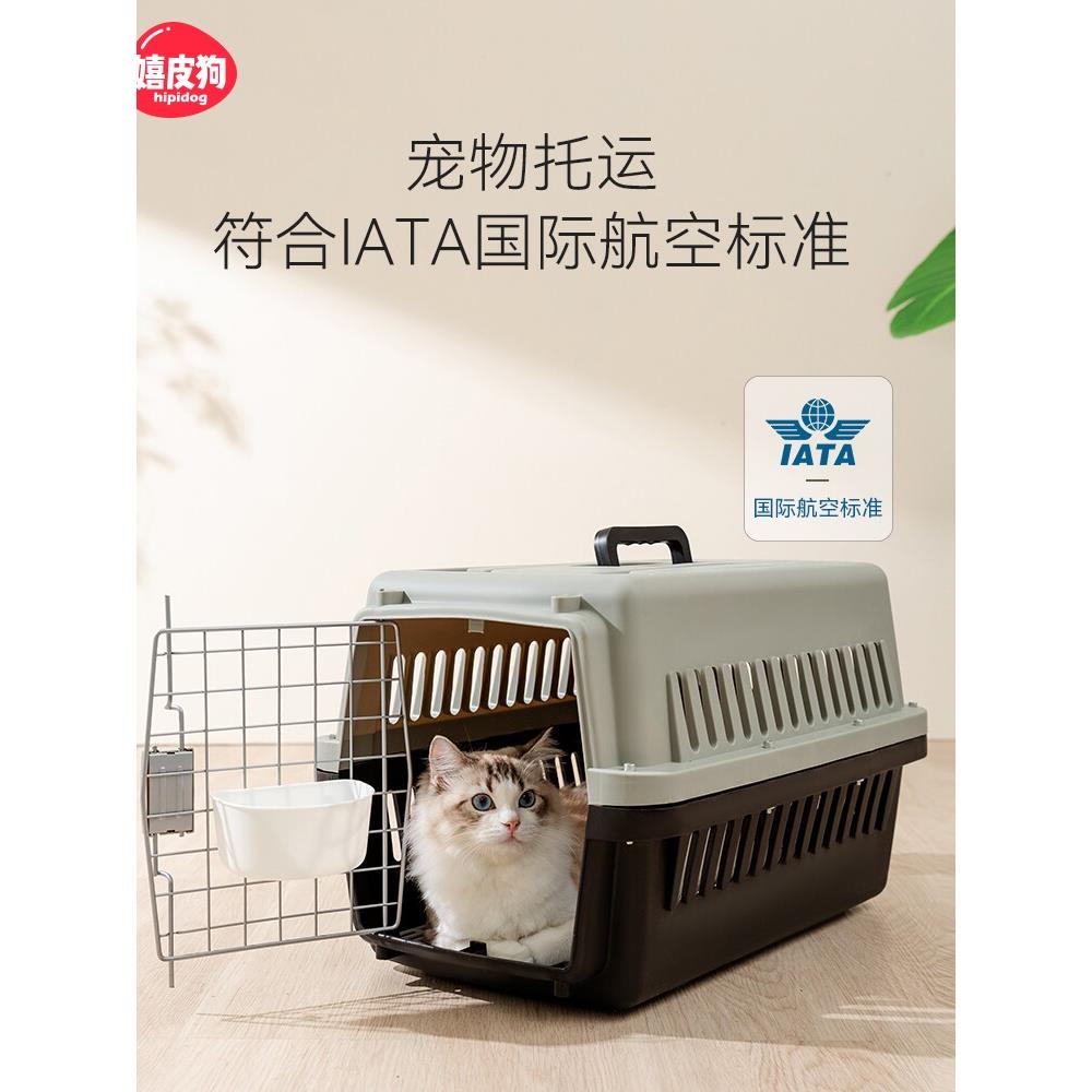 猫包外出便携大容量猫咪太空舱背包大容量航空箱手提式宠物行李箱