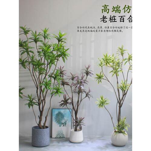 高端模拟绿色植物老堆百合竹橱窗商店客厅办公室装饰假花树景观