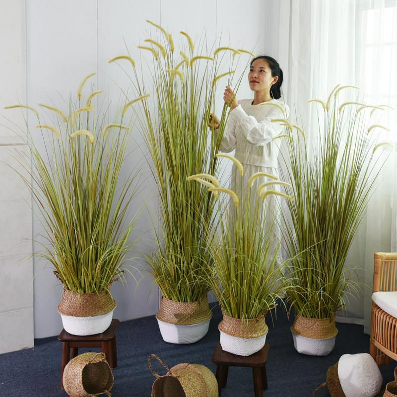 彷真绿色植物狗尾巴草假芦苇草落地盆栽装饰盆景室内客厅植物造景