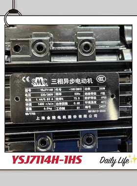 YSJ7114-1HS YSJ7114H-1HS 250W上海金陵电机/上海金陵雷戈勃劳伊