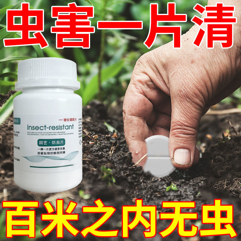 园艺防虫片糖化硼肥片绿植花卉防虫颗粒园艺驱虫片驱蚊虫防飞蚜虫-封面