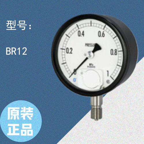 NAGO-KEI长野计器BR12