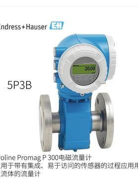 日本Endress+Hauser电磁流量计Proline Promag P 300  5P3B
