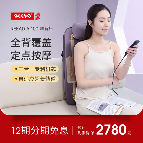 瑞多A100腰背按摩靠垫多功能