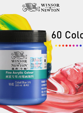 Winsor Newton Painter Acrylic Paint 300Ml painting pigment
