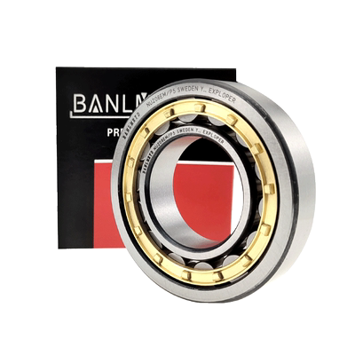 瑞典BMD进口圆柱轴承NU 217 218 219 220 221 222 224 226 228MP5