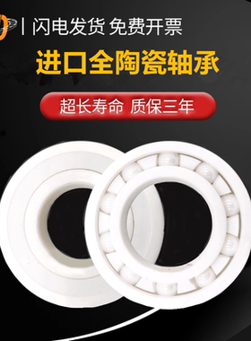 BMD进口全陶瓷轴承16013 16014 16015 16016 16017 16018防水锈P4