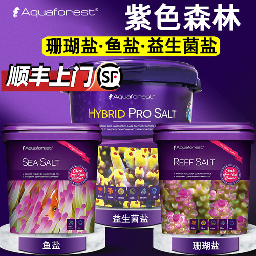 波兰AF紫色森林珊瑚盐鱼盐海缸