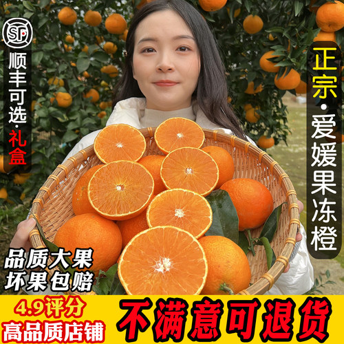 10万回头客！正宗眉山爱媛果冻橙