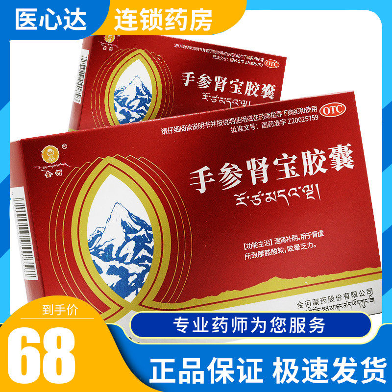 金诃 手参肾宝胶囊 0.3g*10粒/盒黄精肾虚腰膝酸软眩晕冬虫夏草