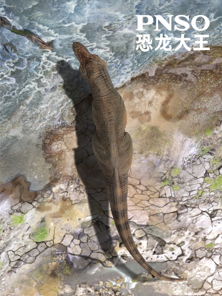 PNSO ZHUCHENG TYRANNOSAURUS LUXIONG 공룡 왕 성장 동반자 모델 58