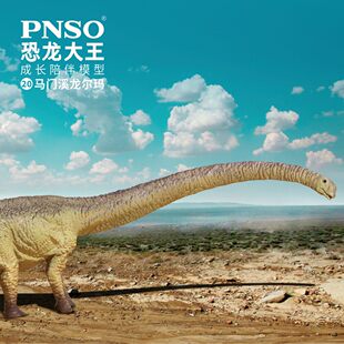 PNSO马门溪龙尔玛恐龙大王成长陪伴模型20