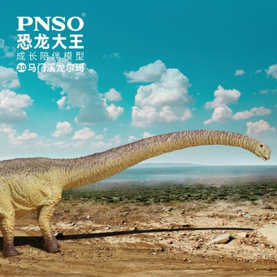 成长陪伴模型马门溪龙