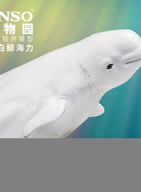 PNSO白鲸海力动物园成长陪伴模型15