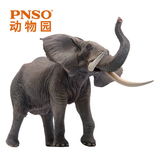 pnso非洲象满满动物园陪伴模型