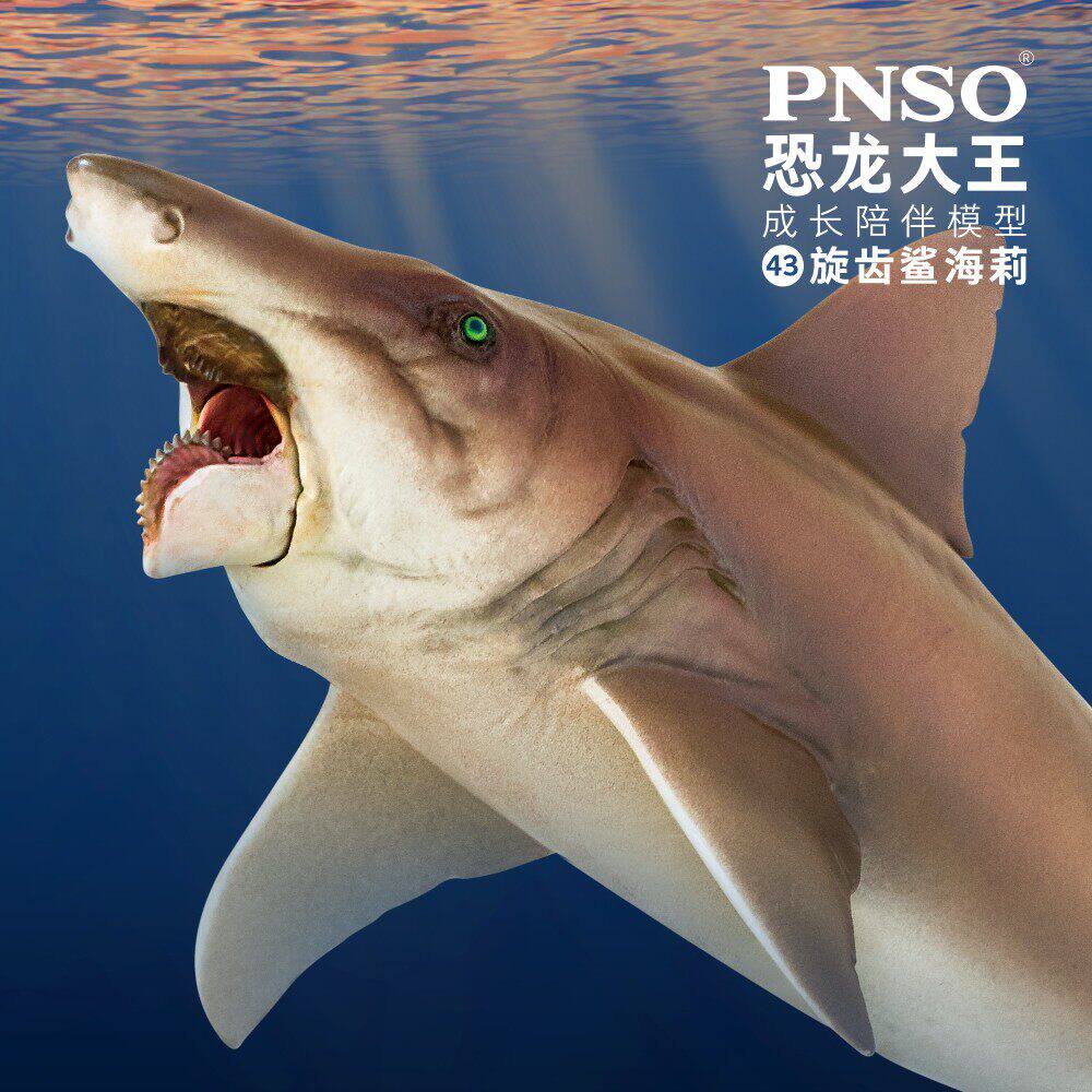 旋齿模型PNSO环保PVC恐龙图片