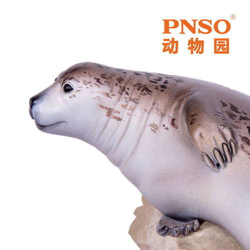海豹尼莫动物园成长陪伴模型PNSO