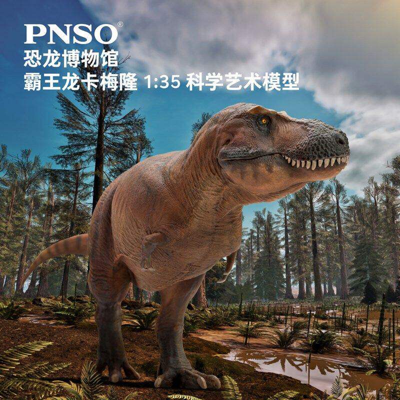 PNSO新版霸王龙卡梅隆附霸王龙头骨恐龙博物馆1:35科学艺术模型